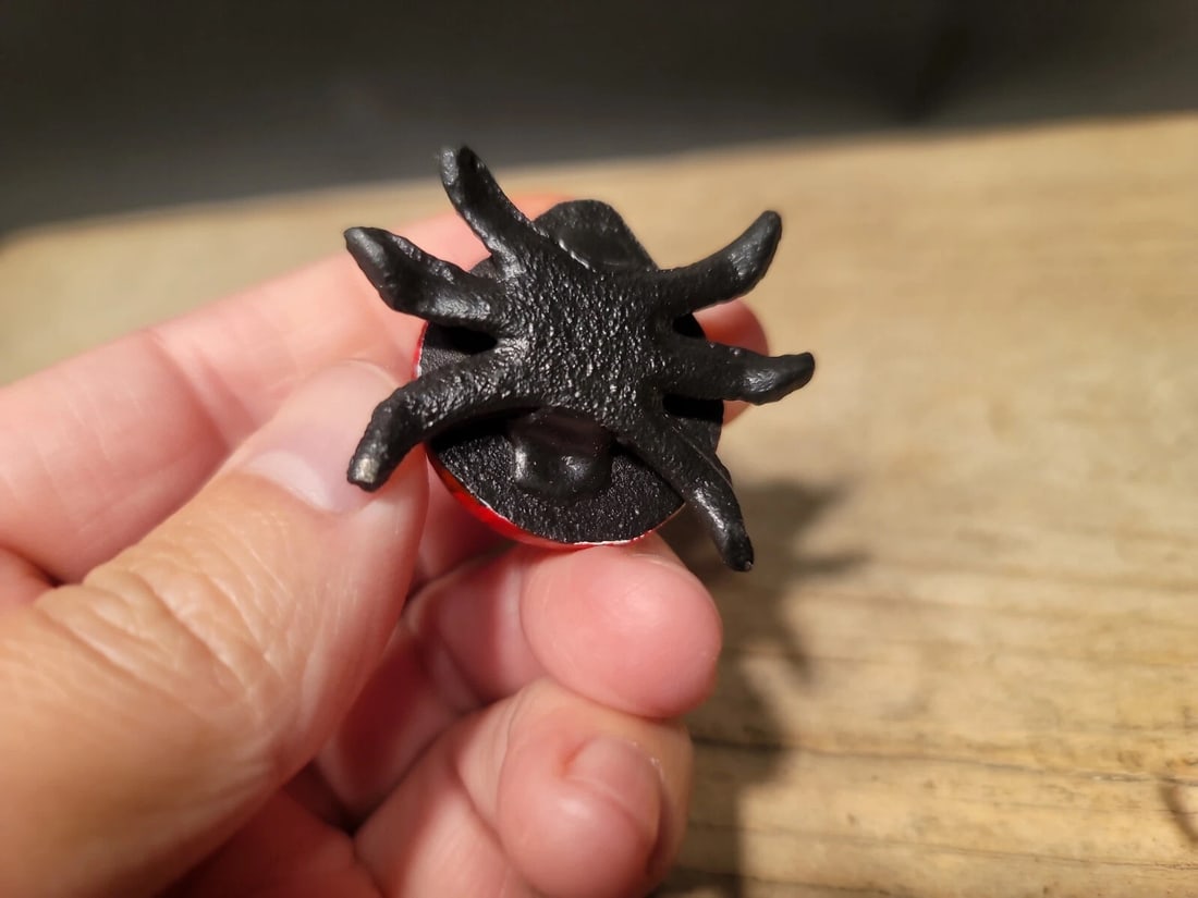 Cast Iron Lady Bug Good Luck - 8