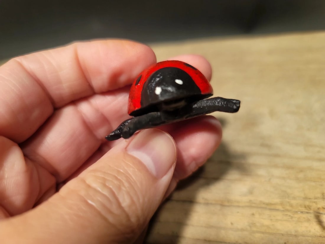 Cast Iron Lady Bug Good Luck - 9