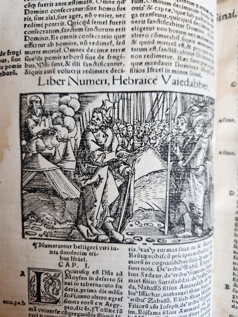 1542 BIBLE in LATIN antique rare BEAUTIFULLY ILLUSTRATED - 9