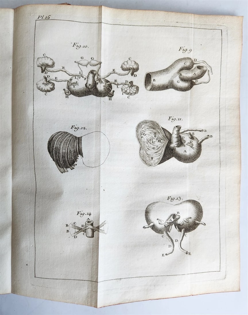 1748 MEDICAL TREATISE ILLUSTRATED ANATOMY by Francois PLANQUE antique V. 1 - 13