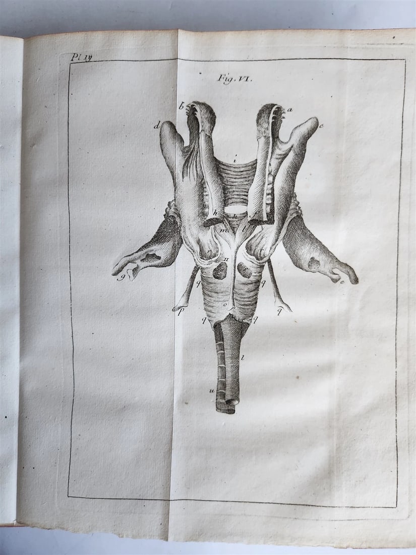 1748 MEDICAL TREATISE ILLUSTRATED ANATOMY by Francois PLANQUE antique V. 1 - 16