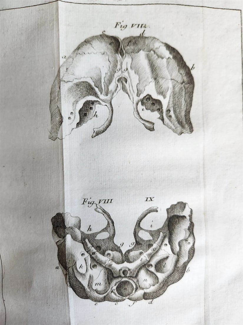 1748 MEDICAL TREATISE ILLUSTRATED ANATOMY by Francois PLANQUE antique V. 1 - 17