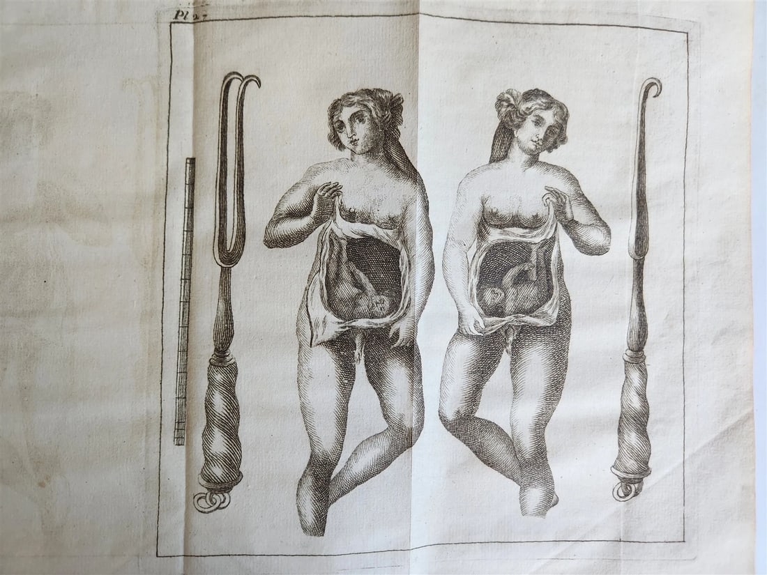1748 MEDICAL TREATISE ILLUSTRATED ANATOMY by Francois PLANQUE antique V. 1 - 4