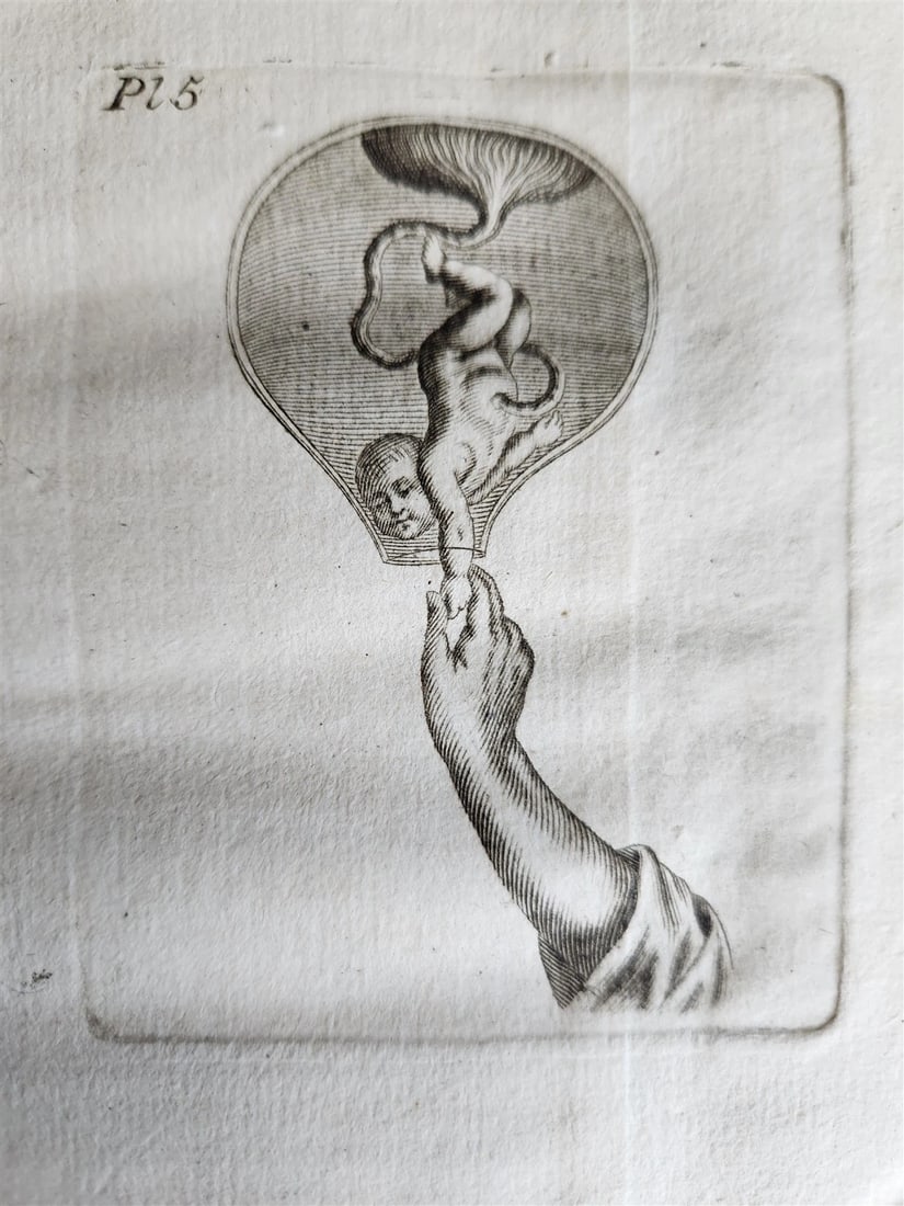 1748 MEDICAL TREATISE ILLUSTRATED ANATOMY by Francois PLANQUE antique V. 1 - 6