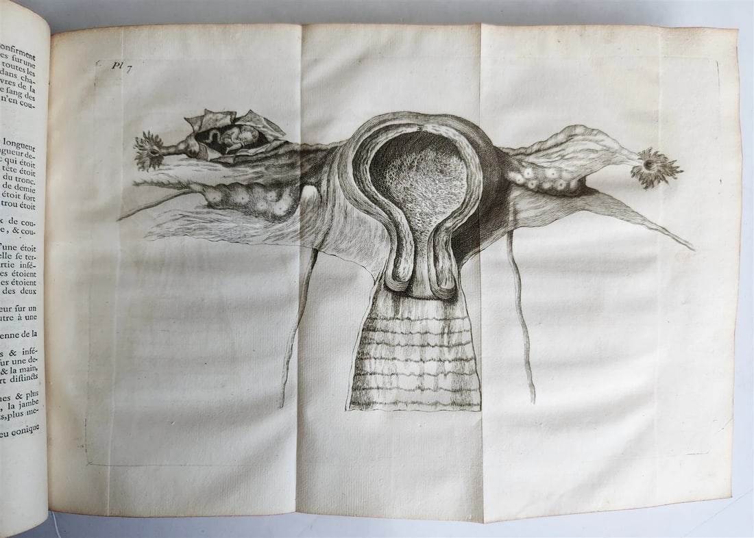 1748 MEDICAL TREATISE ILLUSTRATED ANATOMY by Francois PLANQUE antique V. 1 - 9