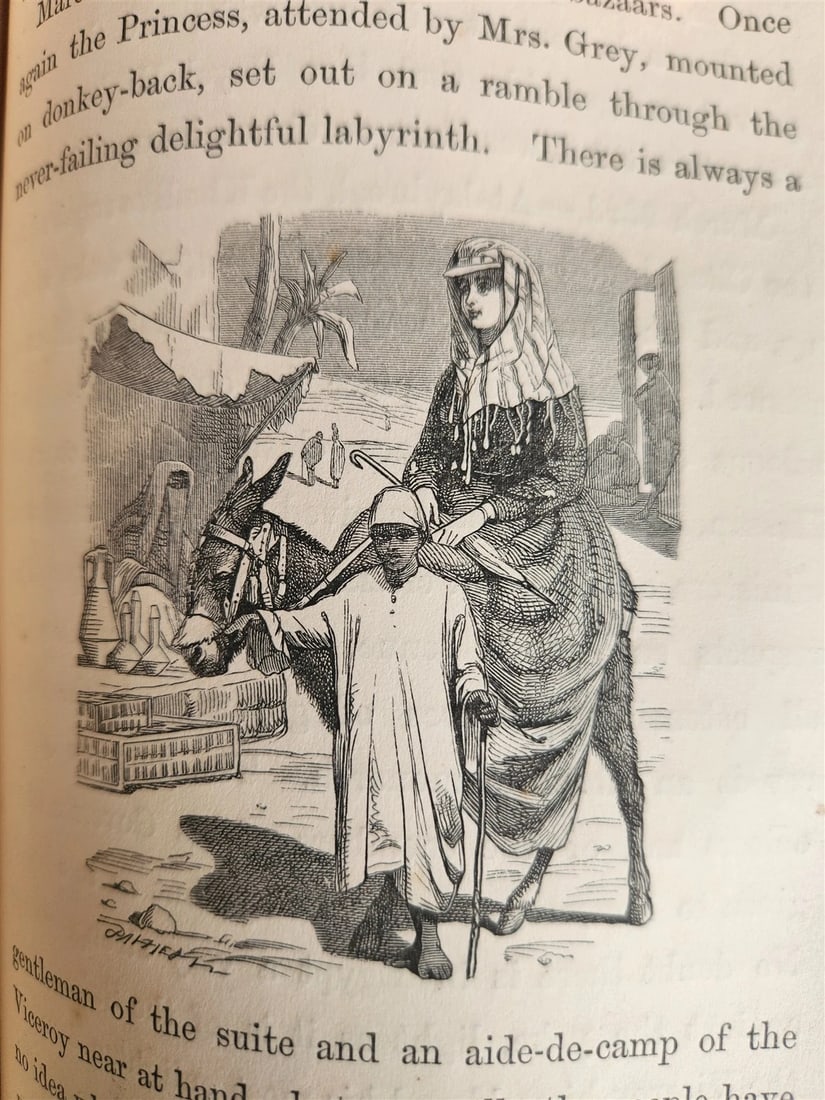 1869 diary in East during tour of Prince & Princess of Wales antique ILLUSTRATED - 12