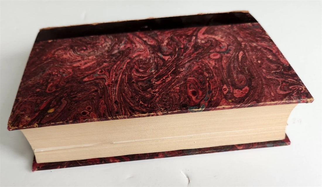 1869 diary in East during tour of Prince & Princess of Wales antique ILLUSTRATED - 4