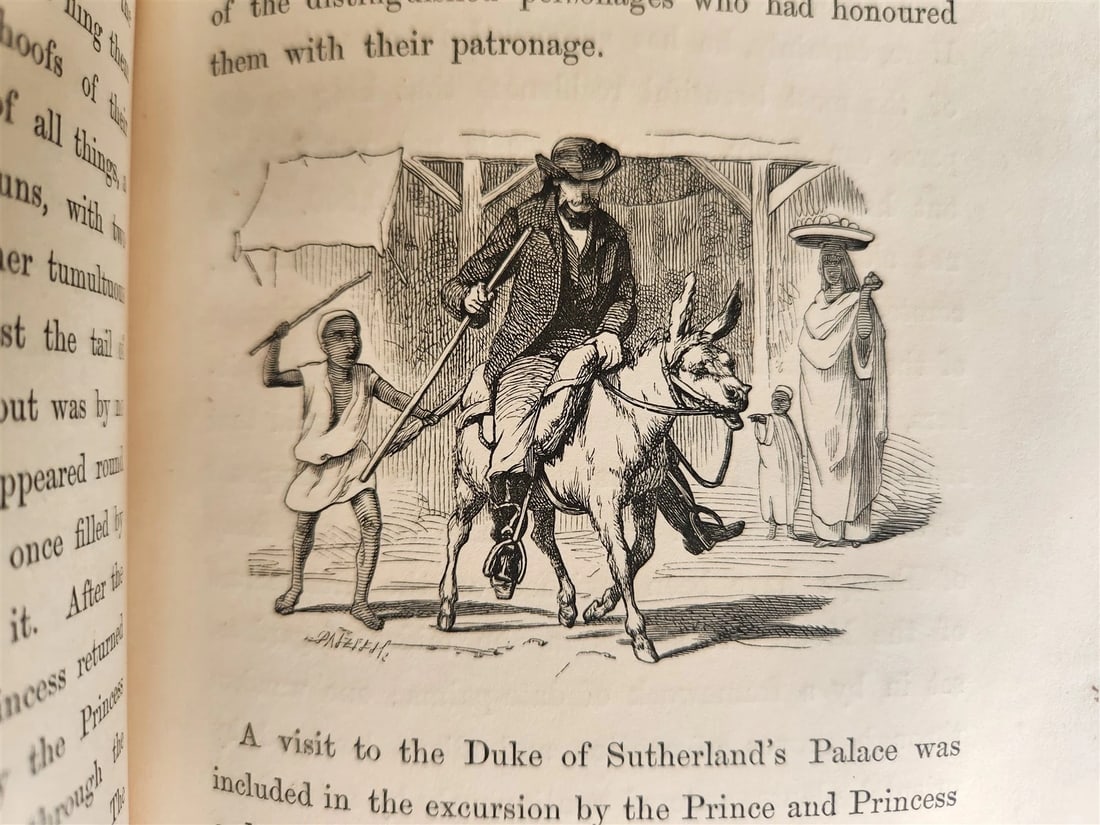 1869 diary in East during tour of Prince & Princess of Wales antique ILLUSTRATED - 8