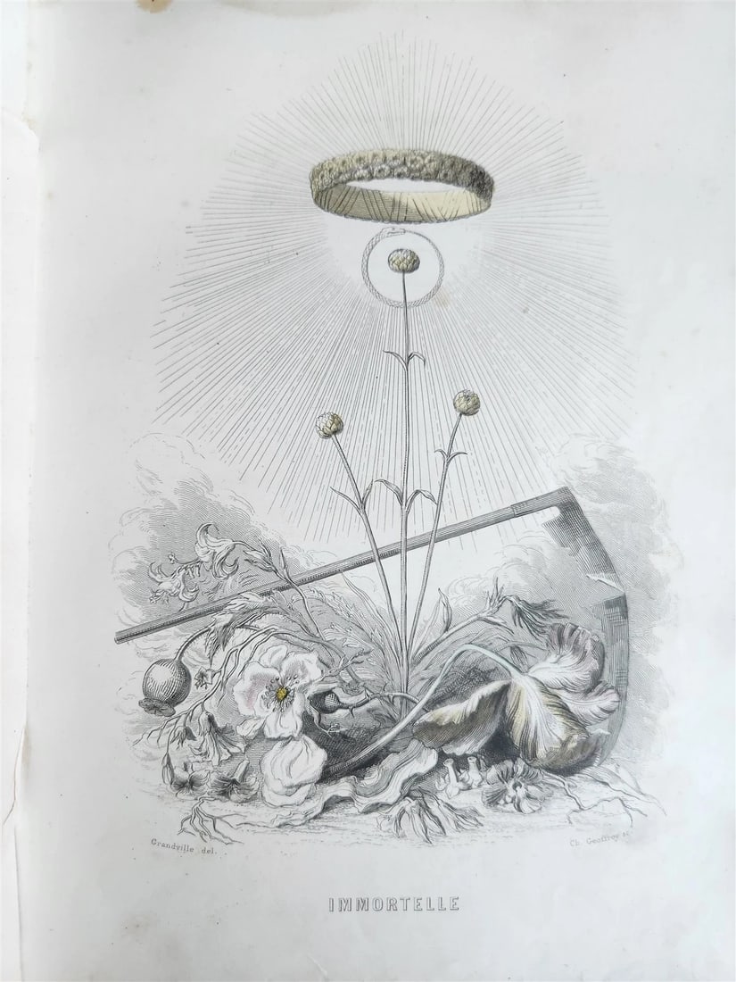 1847 LES FLEURS ANIMEES antique ILLUSTRATED with WOMEN PERSONIFYING FLOWERS - 12