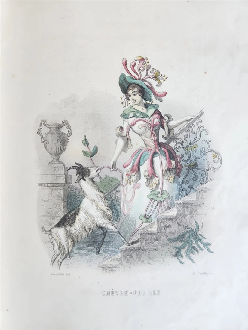 1847 LES FLEURS ANIMEES antique ILLUSTRATED with WOMEN PERSONIFYING FLOWERS - 14