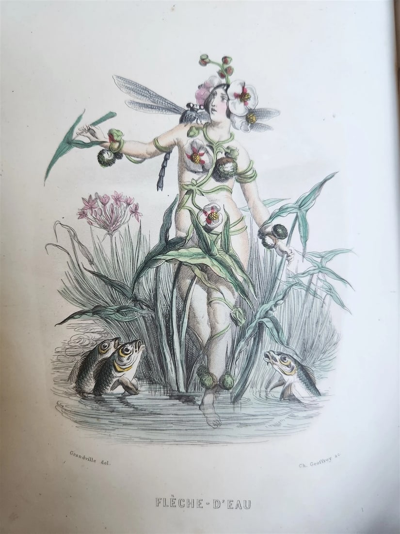 1847 LES FLEURS ANIMEES antique ILLUSTRATED with WOMEN PERSONIFYING FLOWERS - 18