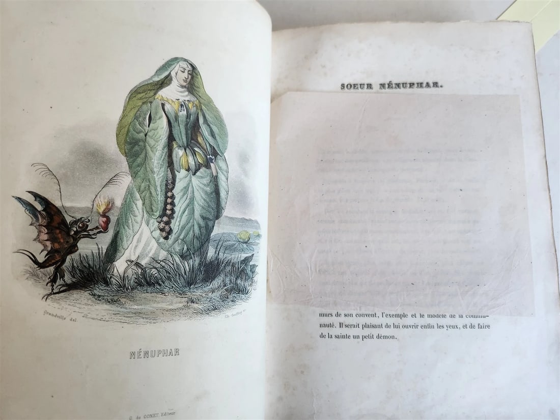 1847 LES FLEURS ANIMEES antique ILLUSTRATED with WOMEN PERSONIFYING FLOWERS - 6