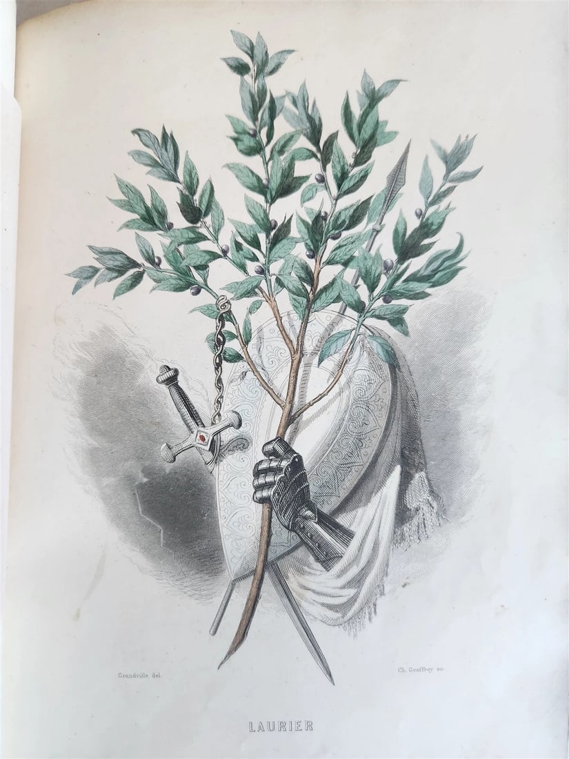 1847 LES FLEURS ANIMEES antique ILLUSTRATED with WOMEN PERSONIFYING FLOWERS - 9