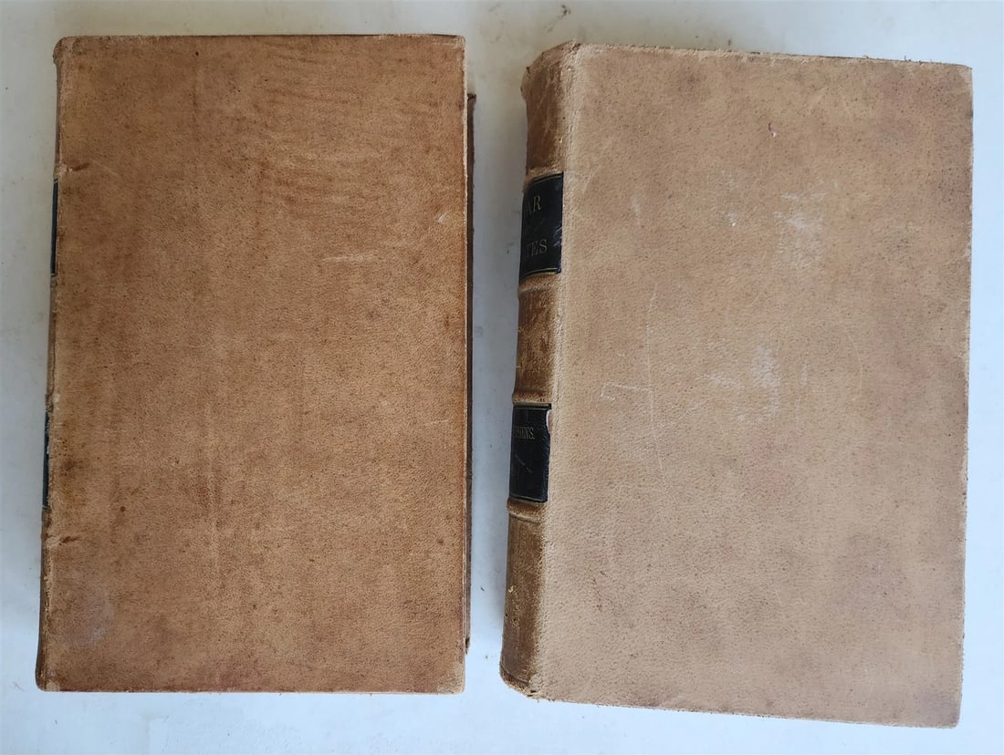 1868 CONSTITUTIONAL VIEW of LATE WAR BETWEEN THE STATES 2 vols antique AMERICANA - 17