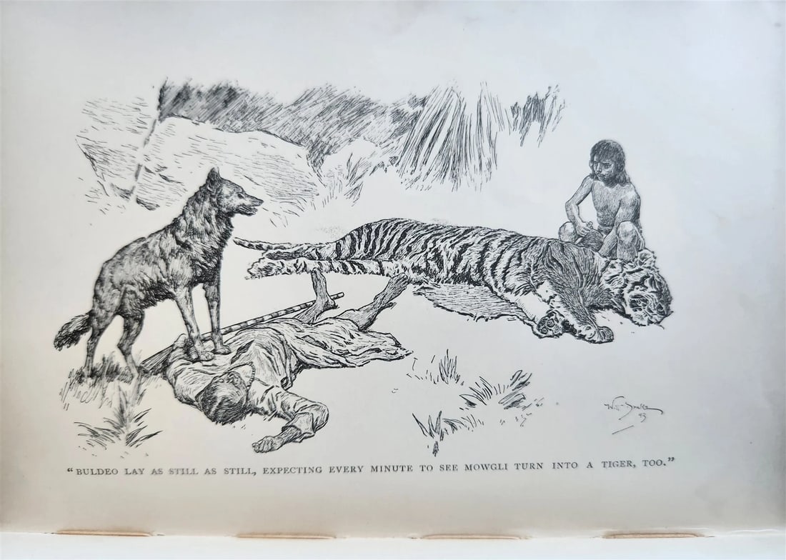 1896-98 THE JUNGLE BOOKS by RUDYARD KIPLING 2 vols antique ILLUSTRATED - 11