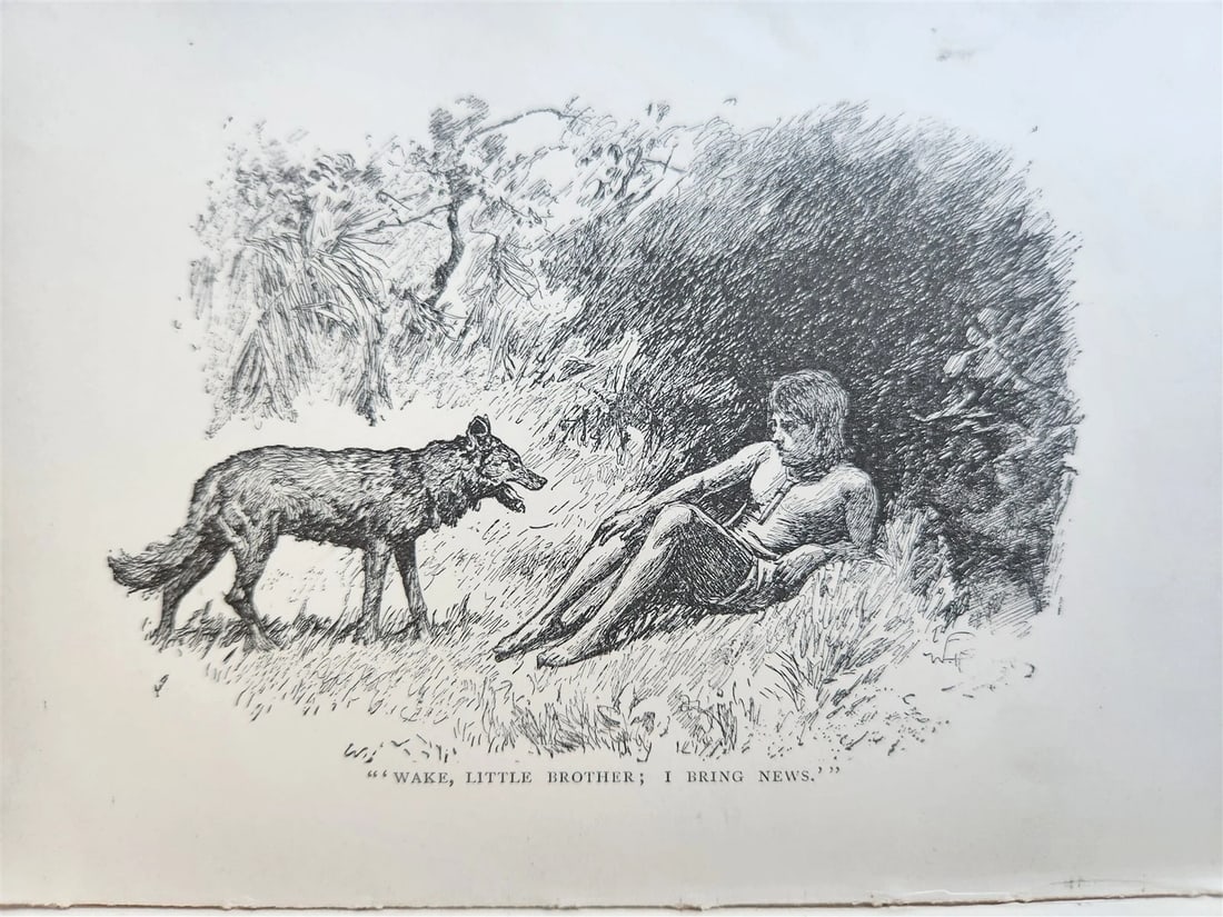 1896-98 THE JUNGLE BOOKS by RUDYARD KIPLING 2 vols antique ILLUSTRATED - 13