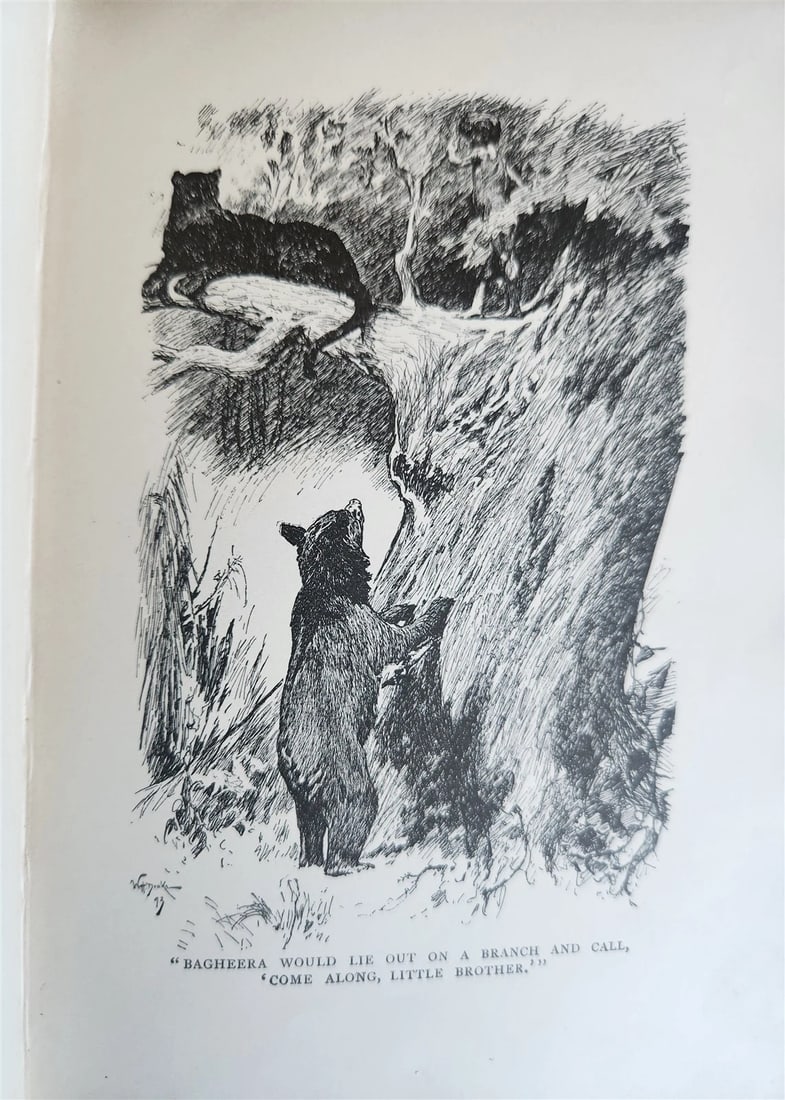 1896-98 THE JUNGLE BOOKS by RUDYARD KIPLING 2 vols antique ILLUSTRATED - 14