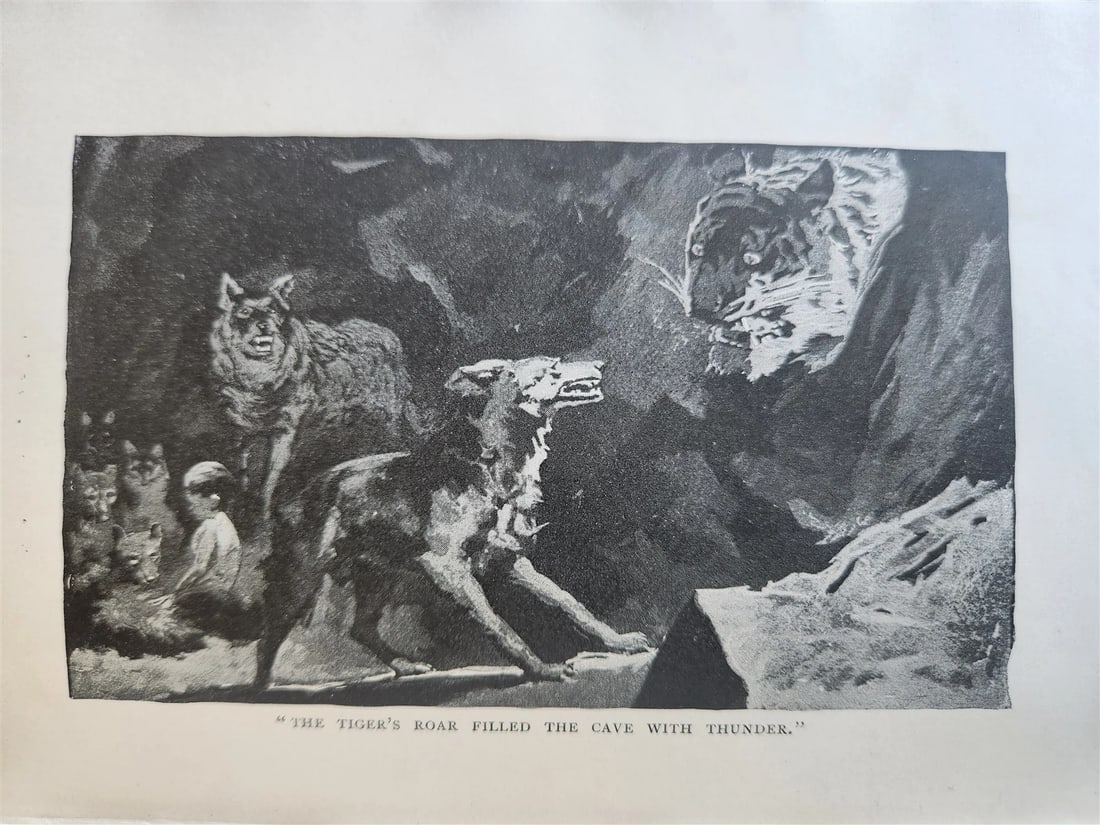 1896-98 THE JUNGLE BOOKS by RUDYARD KIPLING 2 vols antique ILLUSTRATED - 15