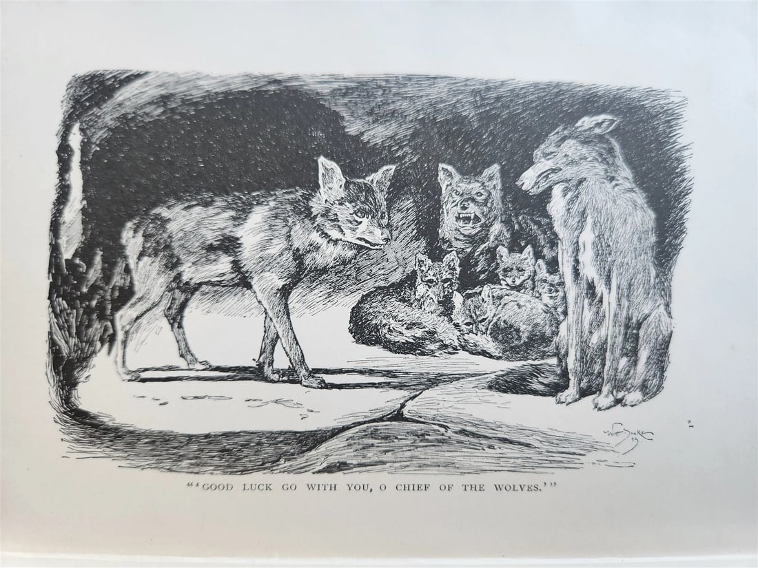 1896-98 THE JUNGLE BOOKS by RUDYARD KIPLING 2 vols antique ILLUSTRATED - 4