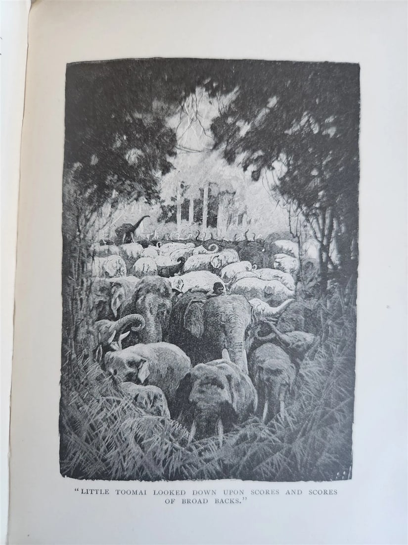 1896-98 THE JUNGLE BOOKS by RUDYARD KIPLING 2 vols antique ILLUSTRATED - 6