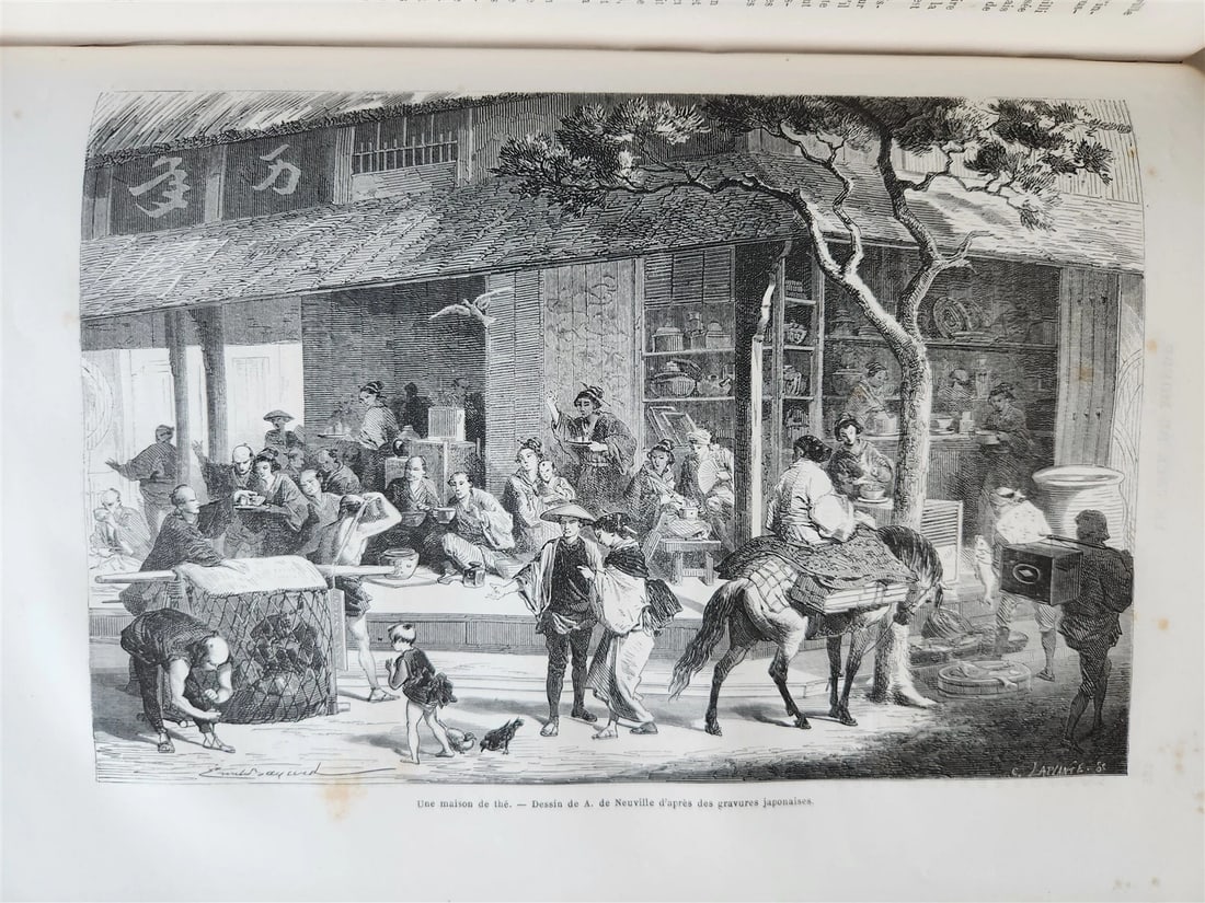 1867 HISTORY of VOYAGES ILLUSTRATED antique AFRICA and SOUTH AMERICA TRAVELS - 10