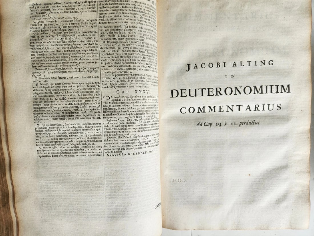1685 5 VELLUM BOUND FOLIOS antique analytica practica problematica & philologica - 10