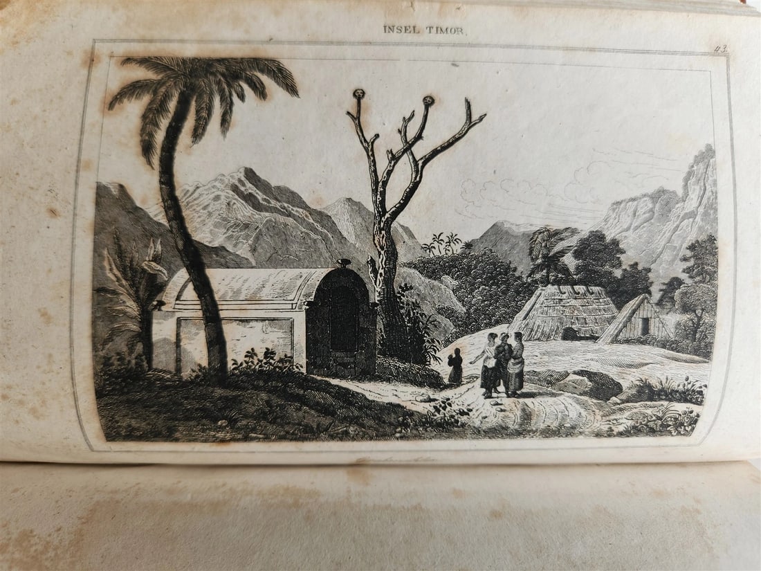 1830s ILLUSTRATED TRAVELS to MICRONESIA SWEDEN NORWAY GREECE antique 3 VOLUMES - 18