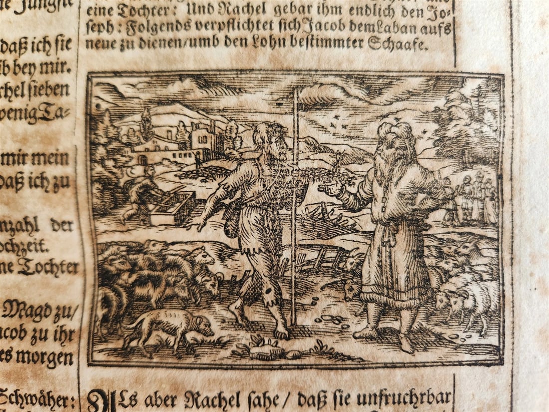 1691 BIBLE in GERMAN illustrated PIGSKIN BOUND FOLIO antique 17th CENTURY - 6