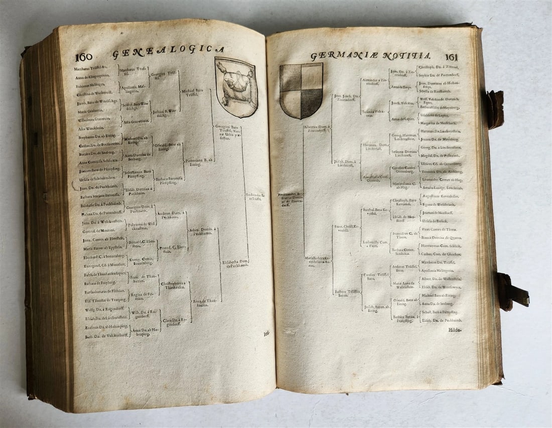 1655 GERMAN GENEALOGY illustrated PIGSKIN BOUND FOLIO antique 17th CENTURY LATIN - 10