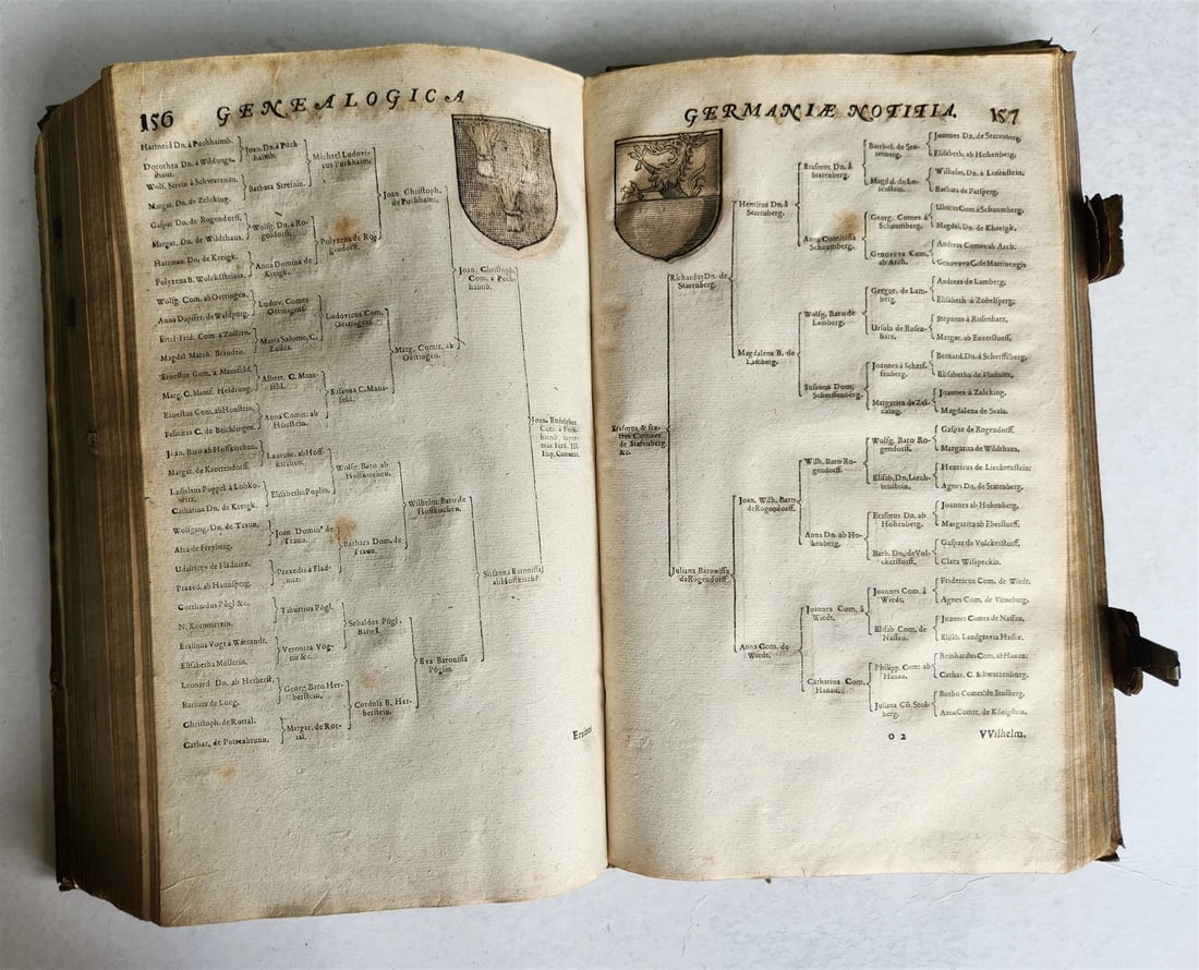 1655 GERMAN GENEALOGY illustrated PIGSKIN BOUND FOLIO antique 17th CENTURY LATIN - 11