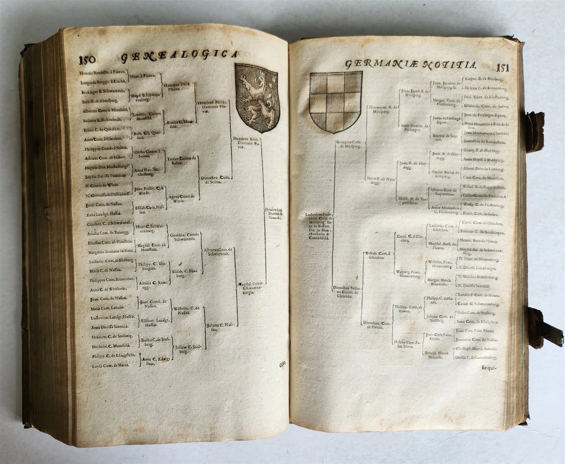 1655 GERMAN GENEALOGY illustrated PIGSKIN BOUND FOLIO antique 17th CENTURY LATIN - 13