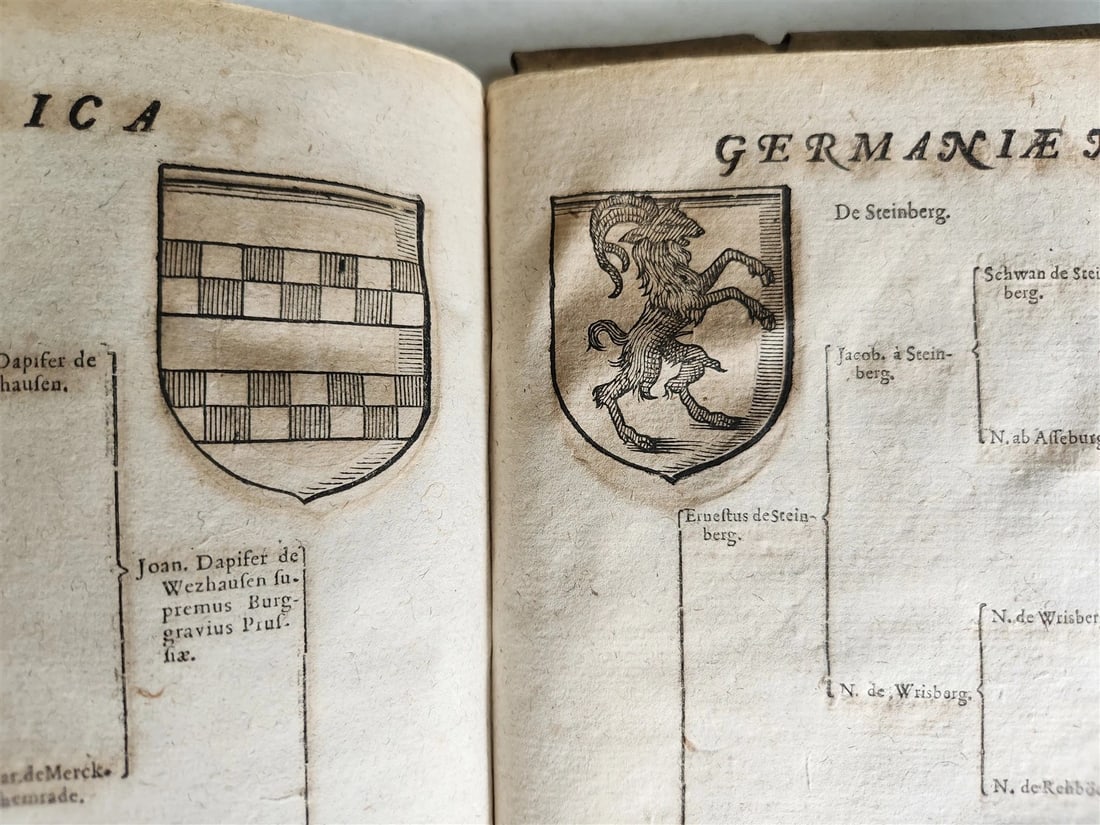 1655 GERMAN GENEALOGY illustrated PIGSKIN BOUND FOLIO antique 17th CENTURY LATIN - 16