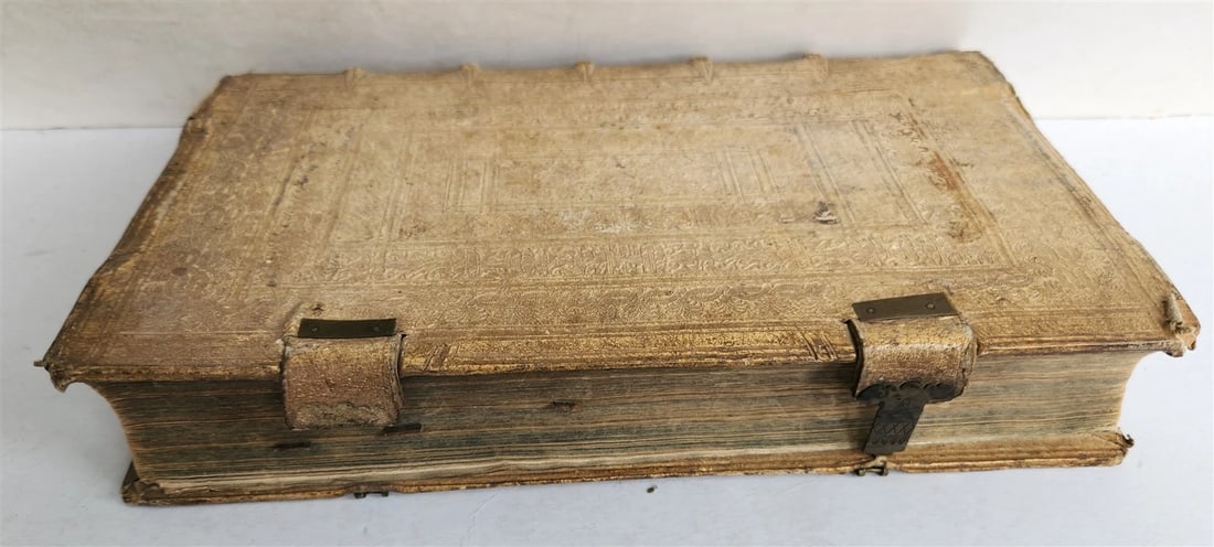 1655 GERMAN GENEALOGY illustrated PIGSKIN BOUND FOLIO antique 17th CENTURY LATIN - 2