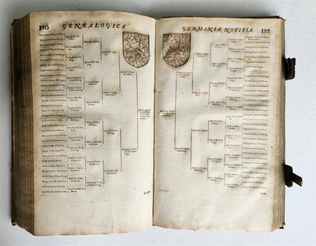1655 GERMAN GENEALOGY illustrated PIGSKIN BOUND FOLIO antique 17th CENTURY LATIN - 4
