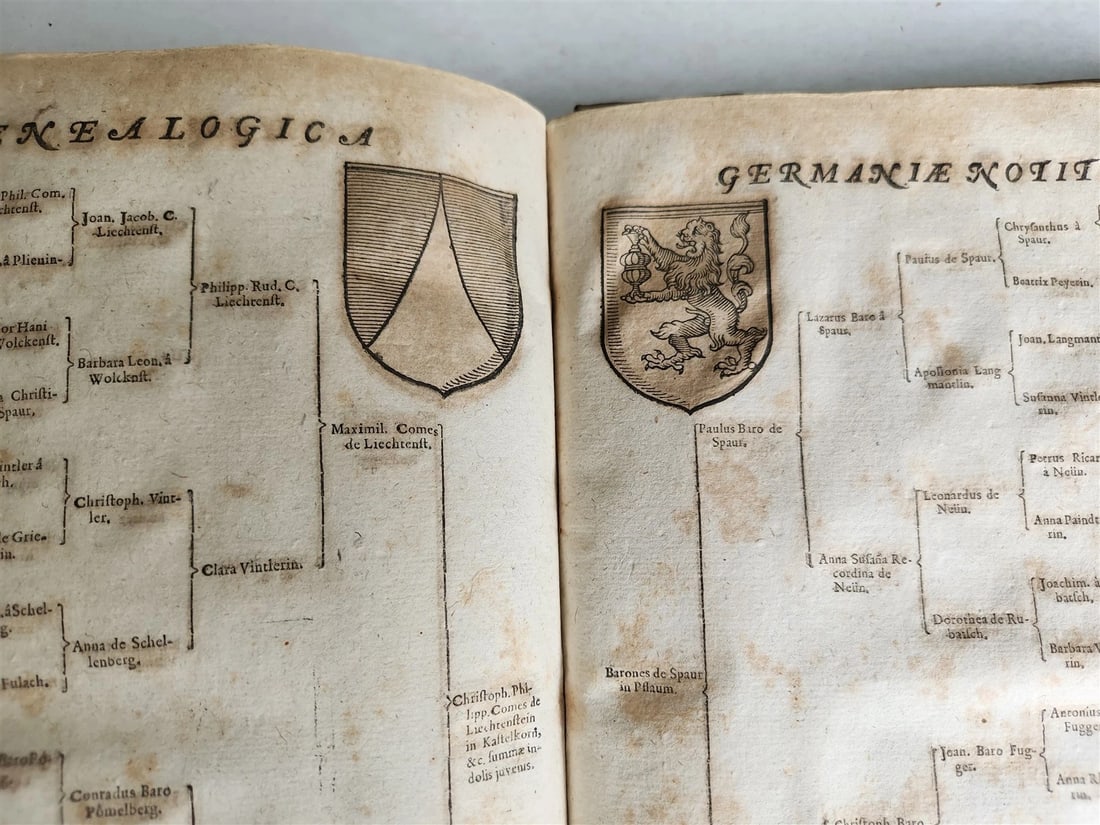 1655 GERMAN GENEALOGY illustrated PIGSKIN BOUND FOLIO antique 17th CENTURY LATIN - 5