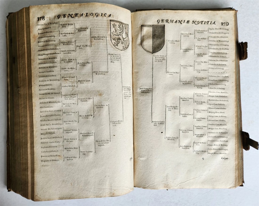 1655 GERMAN GENEALOGY illustrated PIGSKIN BOUND FOLIO antique 17th CENTURY LATIN - 6