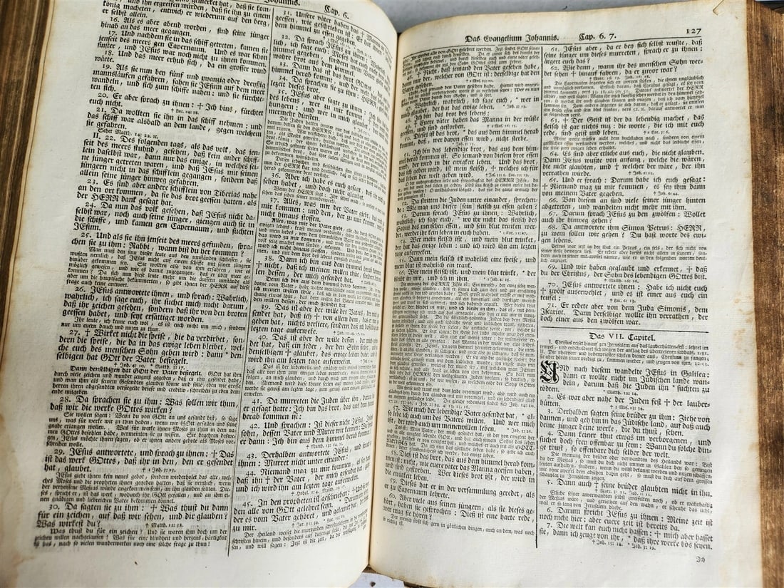 1755 BIBLE in GERMAN ULRICH antique PIGSKIN BINDING METAL FITTINGS MASSIVE FOLIO - 12