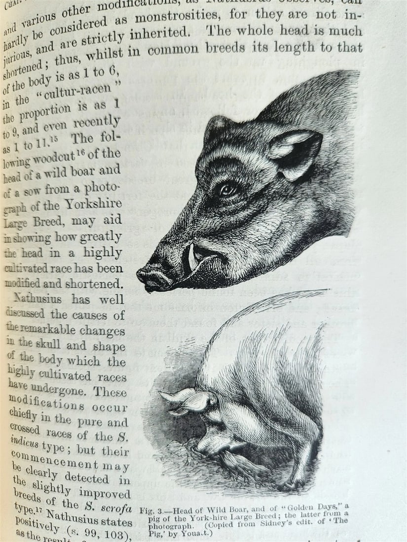 1876 CHARLES DARWIN VARIATION of ANIMALS & PLANTS antique 2 VOLUMES 2nd US ed. - 10