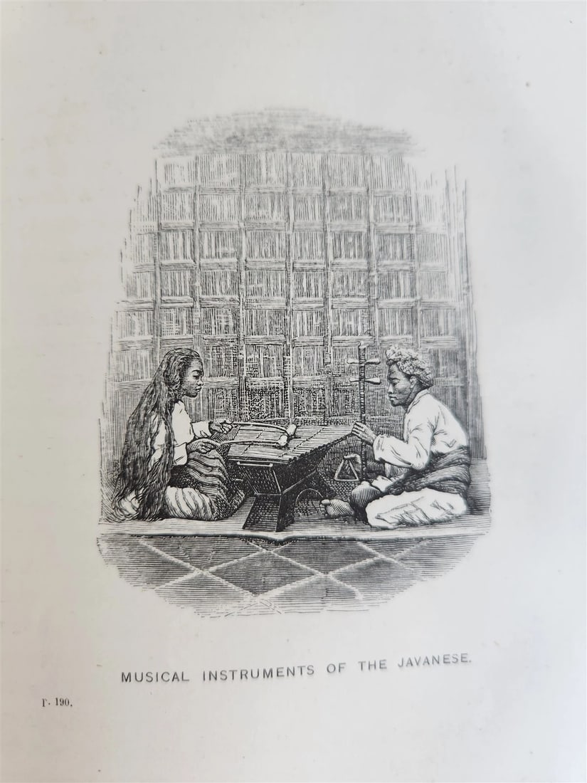 1869 TRAVELS TO EAST INDIAN ARCHIPELAGO antique ILLUSTRATED - 16