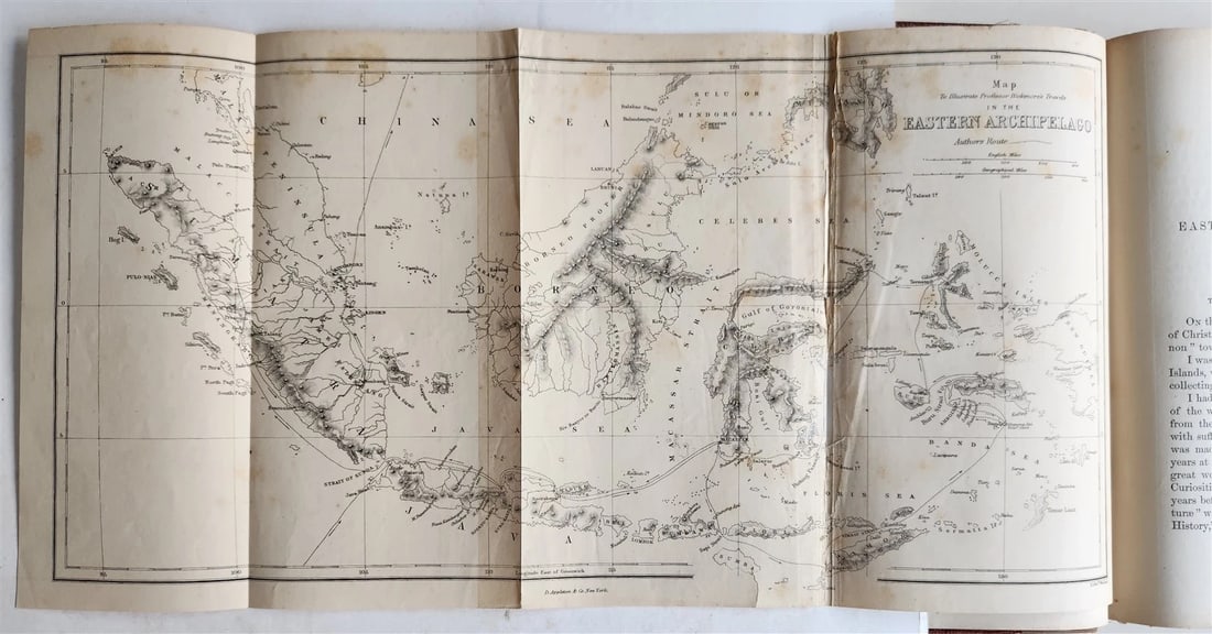 1869 TRAVELS TO EAST INDIAN ARCHIPELAGO antique ILLUSTRATED - 2