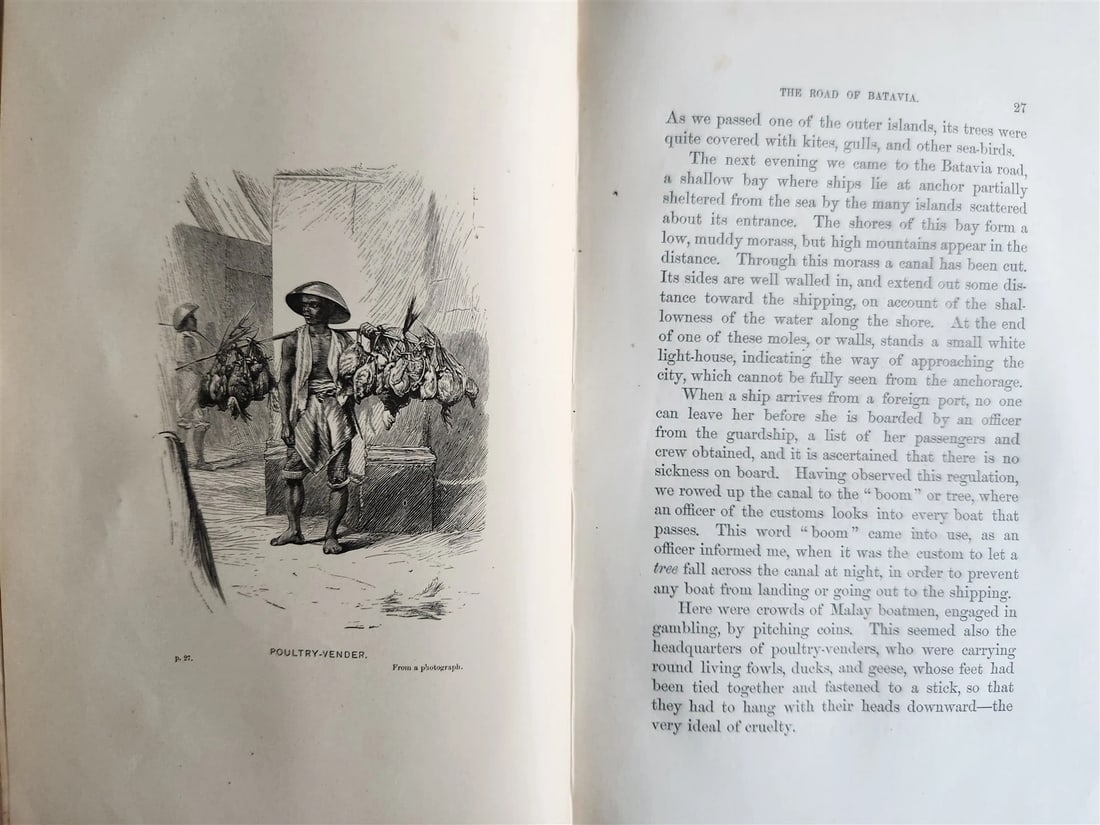 1869 TRAVELS TO EAST INDIAN ARCHIPELAGO antique ILLUSTRATED - 4