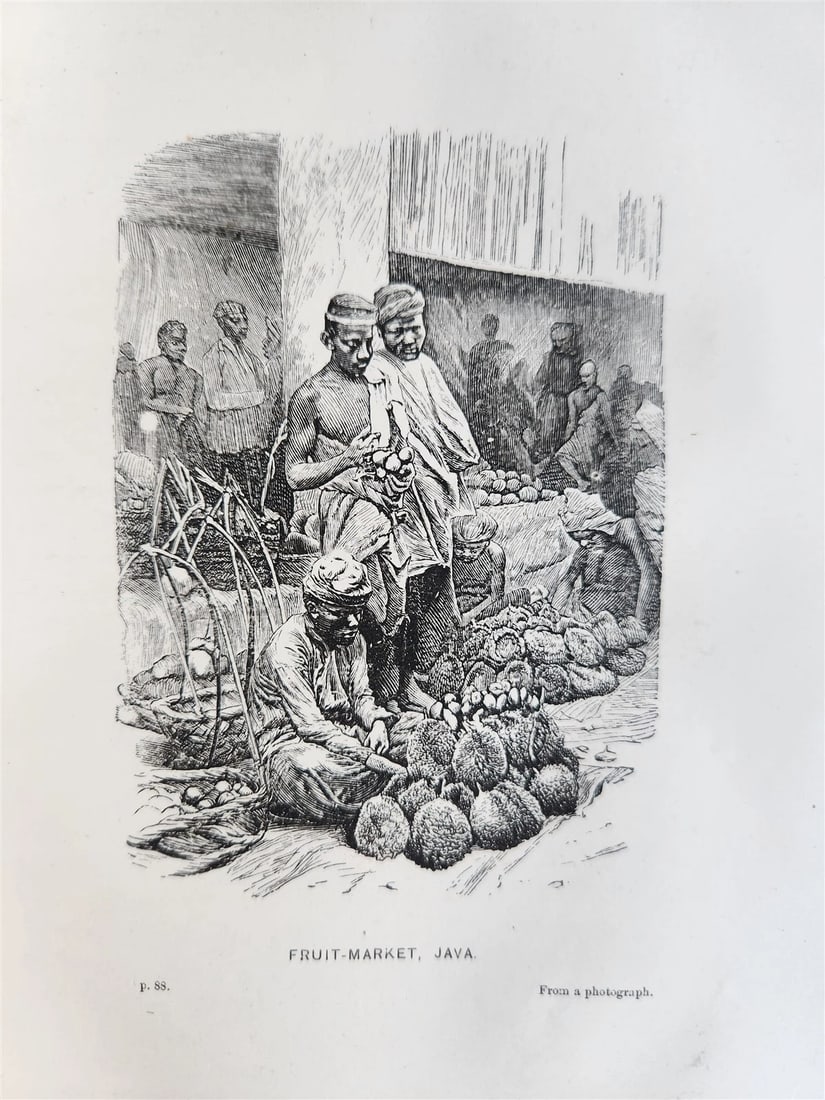 1869 TRAVELS TO EAST INDIAN ARCHIPELAGO antique ILLUSTRATED - 6