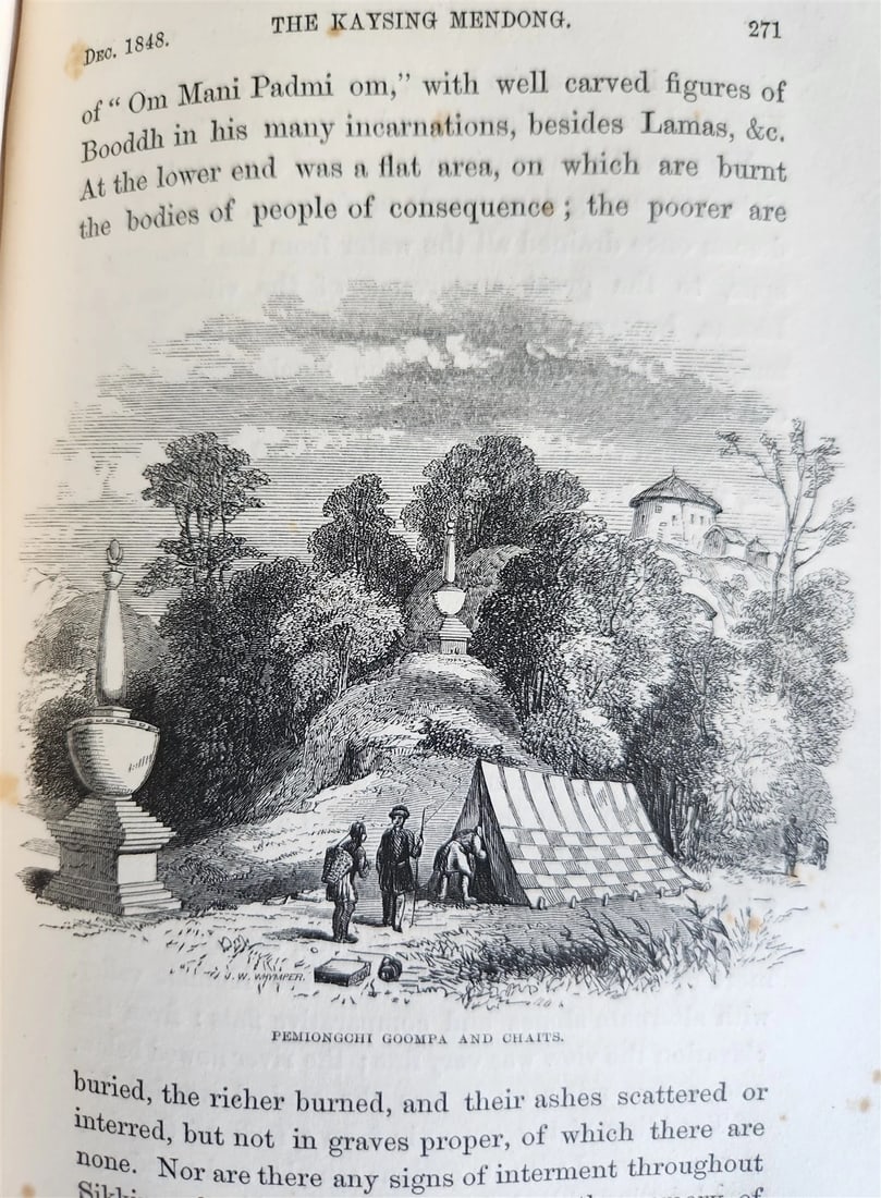 1855 HIMALAYAN JOURNALS by Joseph Hooker 2 VOLUMES antique ILLUSTRATED - 11