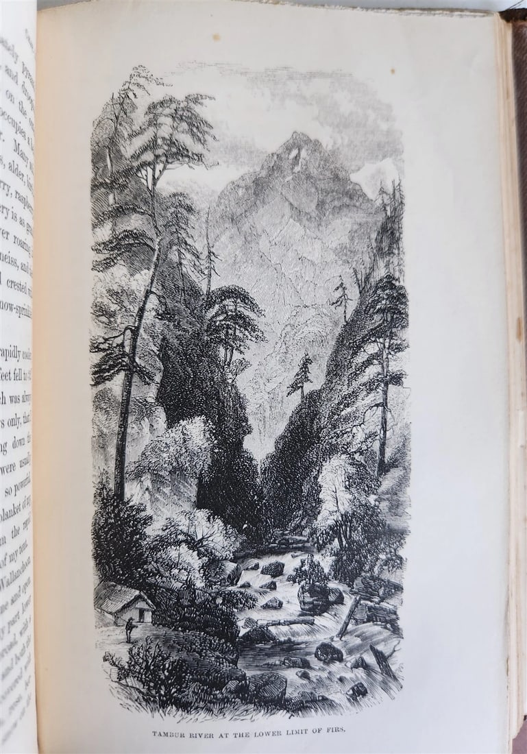 1855 HIMALAYAN JOURNALS by Joseph Hooker 2 VOLUMES antique ILLUSTRATED - 12