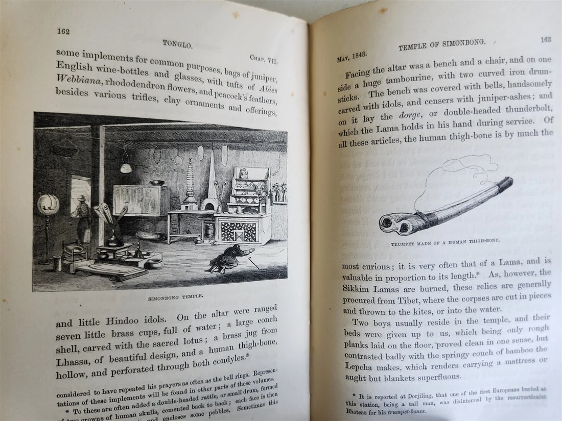 1855 HIMALAYAN JOURNALS by Joseph Hooker 2 VOLUMES antique ILLUSTRATED - 13