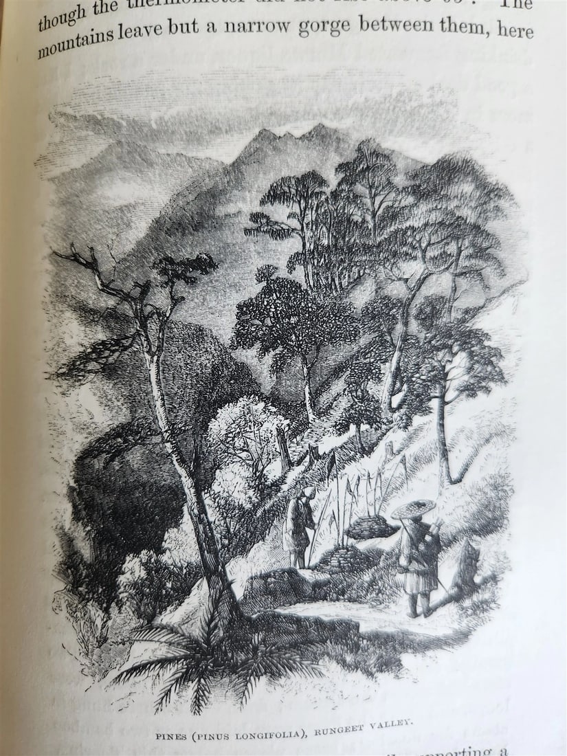 1855 HIMALAYAN JOURNALS by Joseph Hooker 2 VOLUMES antique ILLUSTRATED - 15