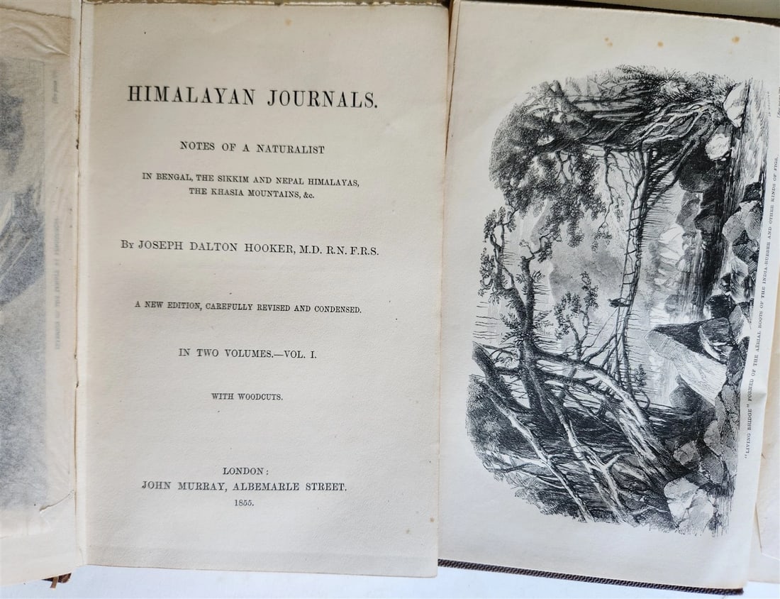 1855 HIMALAYAN JOURNALS by Joseph Hooker 2 VOLUMES antique ILLUSTRATED - 2