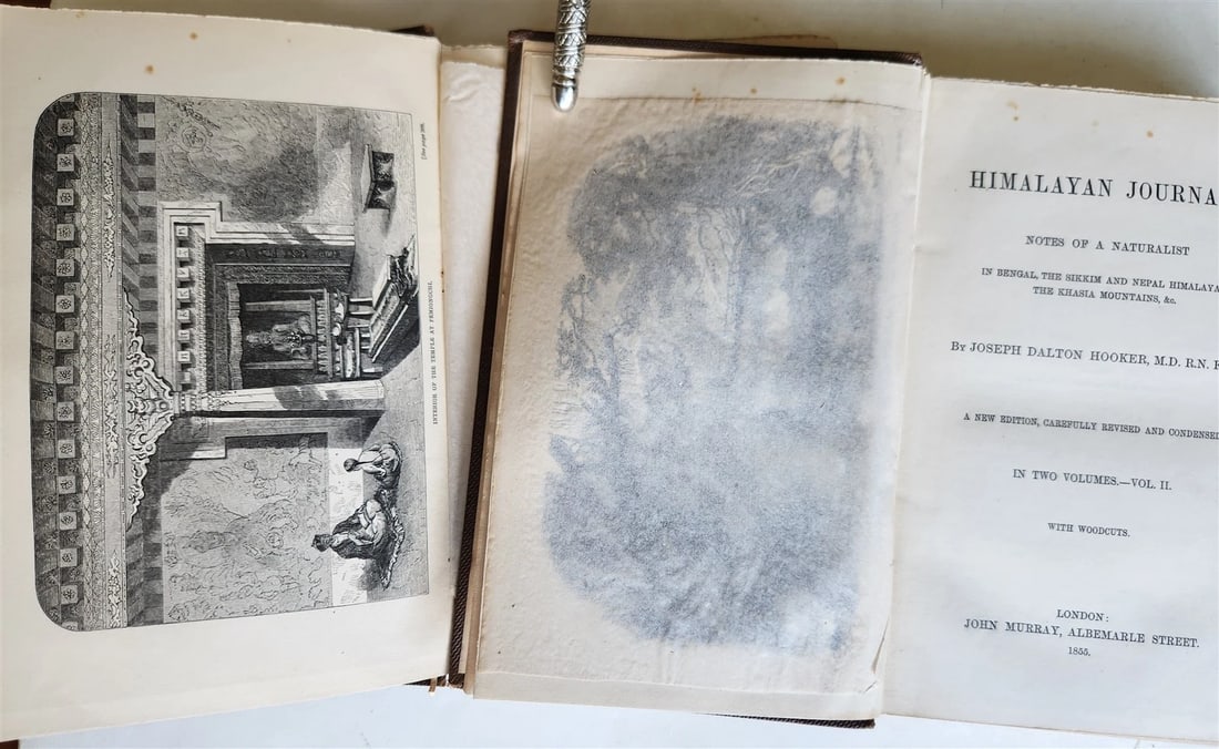 1855 HIMALAYAN JOURNALS by Joseph Hooker 2 VOLUMES antique ILLUSTRATED - 3