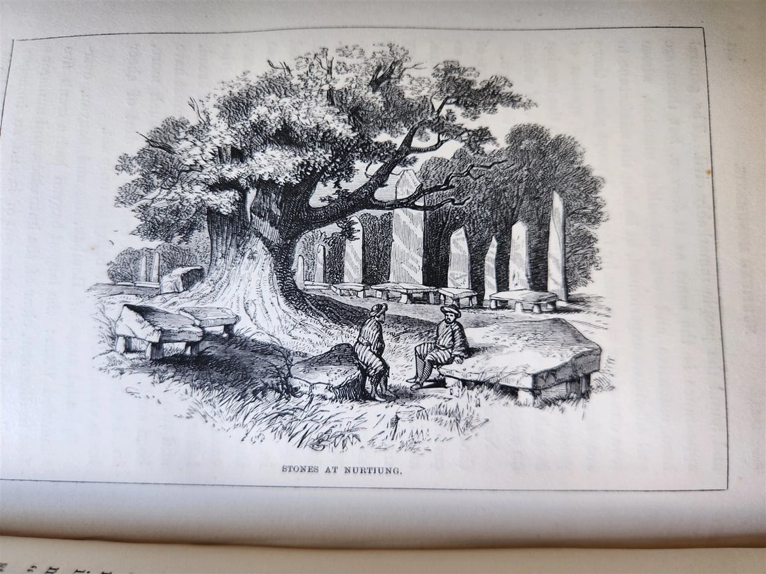 1855 HIMALAYAN JOURNALS by Joseph Hooker 2 VOLUMES antique ILLUSTRATED - 6