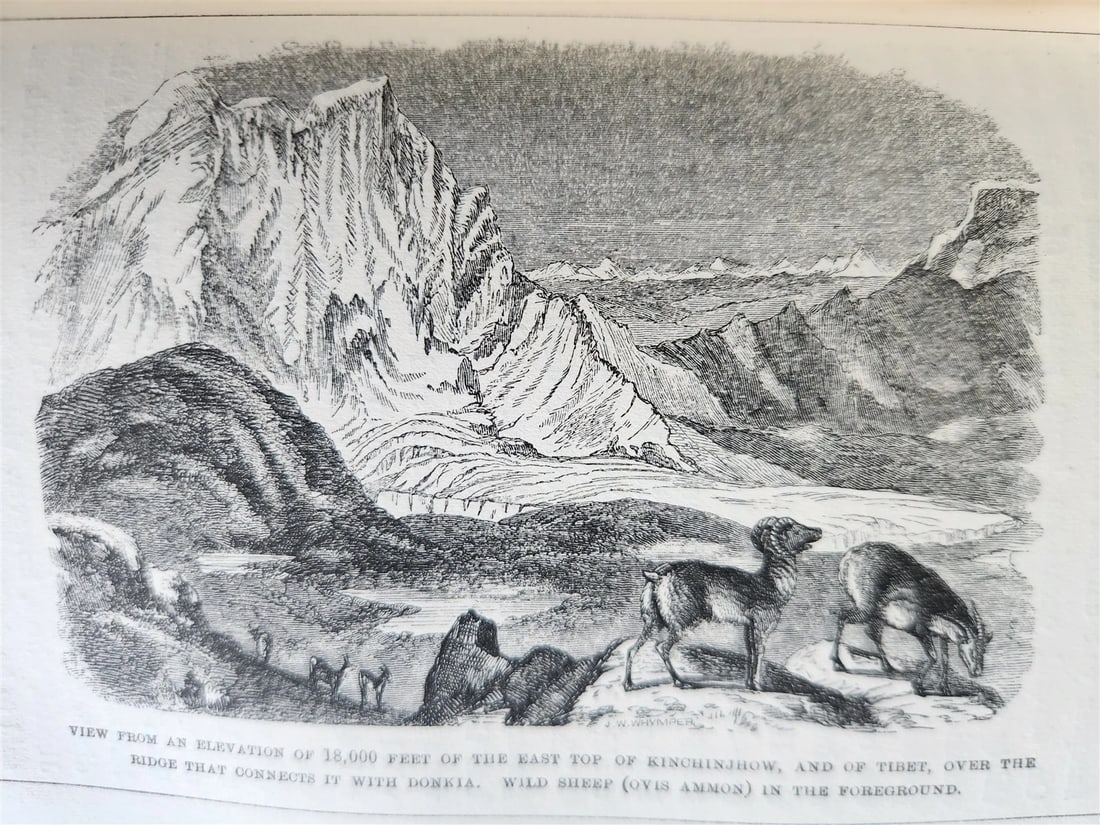 1855 HIMALAYAN JOURNALS by Joseph Hooker 2 VOLUMES antique ILLUSTRATED - 8